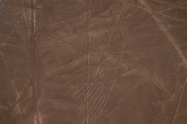 Nazca Lines Geolyphs