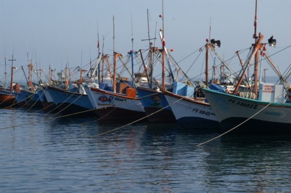 fishing boats lining the pier
