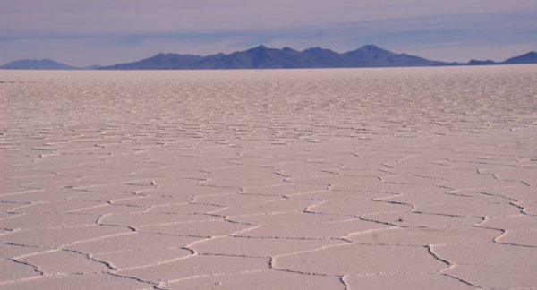 The Salar..