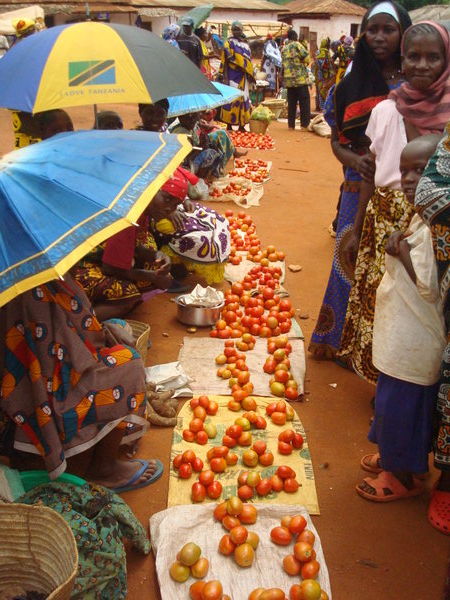 Tomatoes at Milingano market!