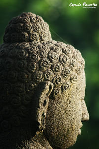 Buddha at Borobudur