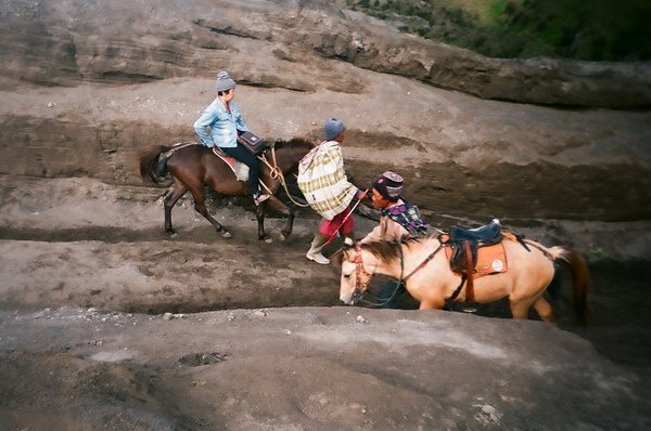 Horses ferrying visitors up and down the crater