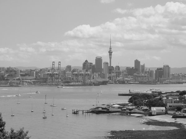 Auckland sky line from North head