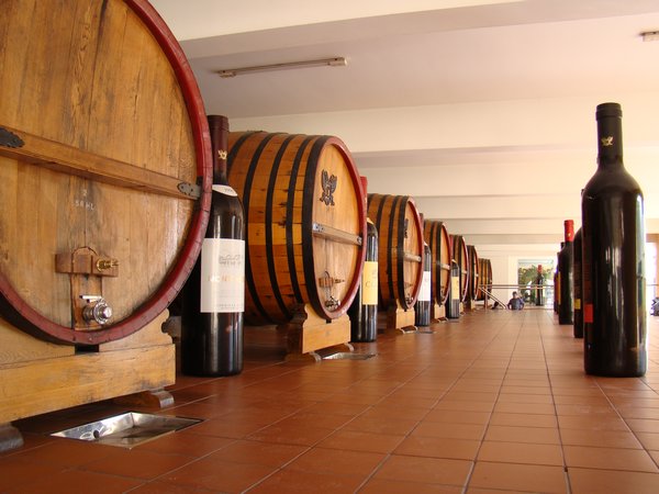 Mendoza, wine tour