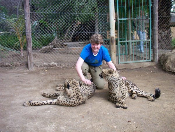 Cheetahs!
