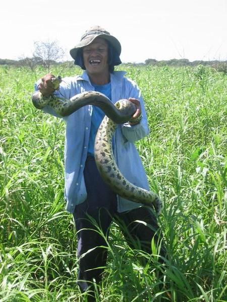 An Anaconda with Luis