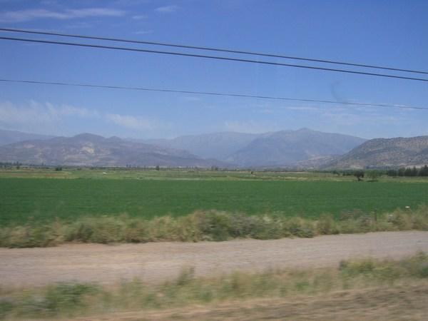 Middle Chile's Wine Growing Region from the Bus