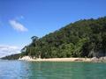 One of the many (99) beaches on the Abel Tasman