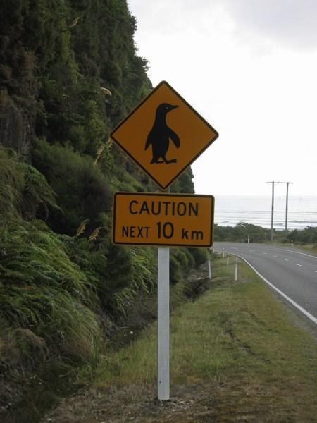 The first of many comical signs in New Zealand and Australia