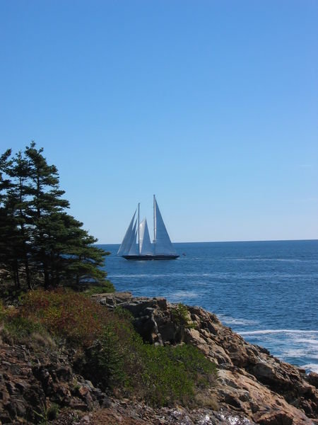 Sailboat to the Harbor