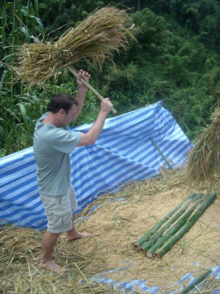 Chiang Mai - Greg trying out the rice beating