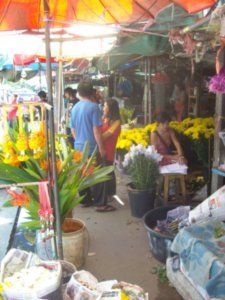 Chiang Mai - flower market