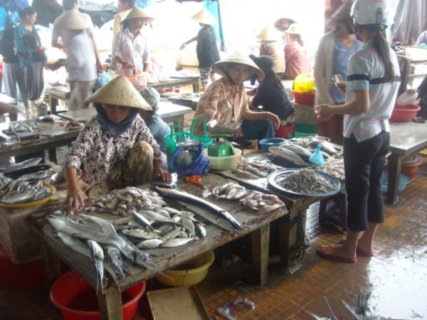 Hoi An - fish market