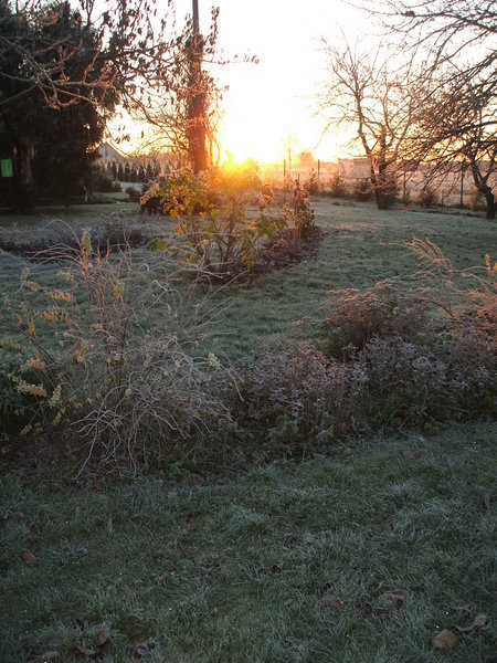 sun with morning frost