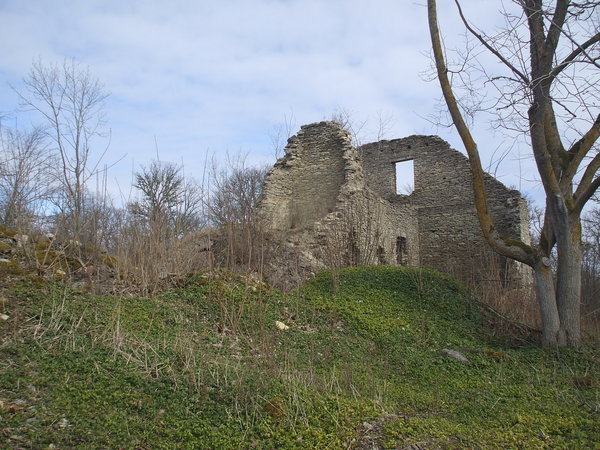 old manor ruins