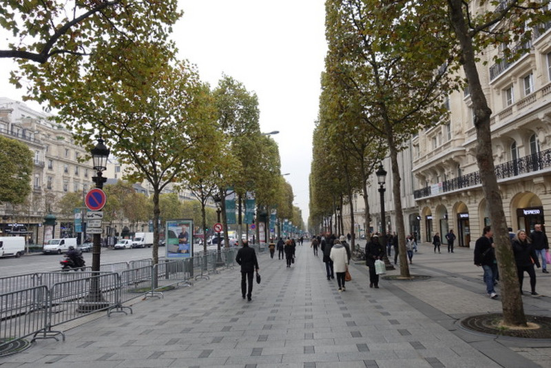Champs Elysees 
