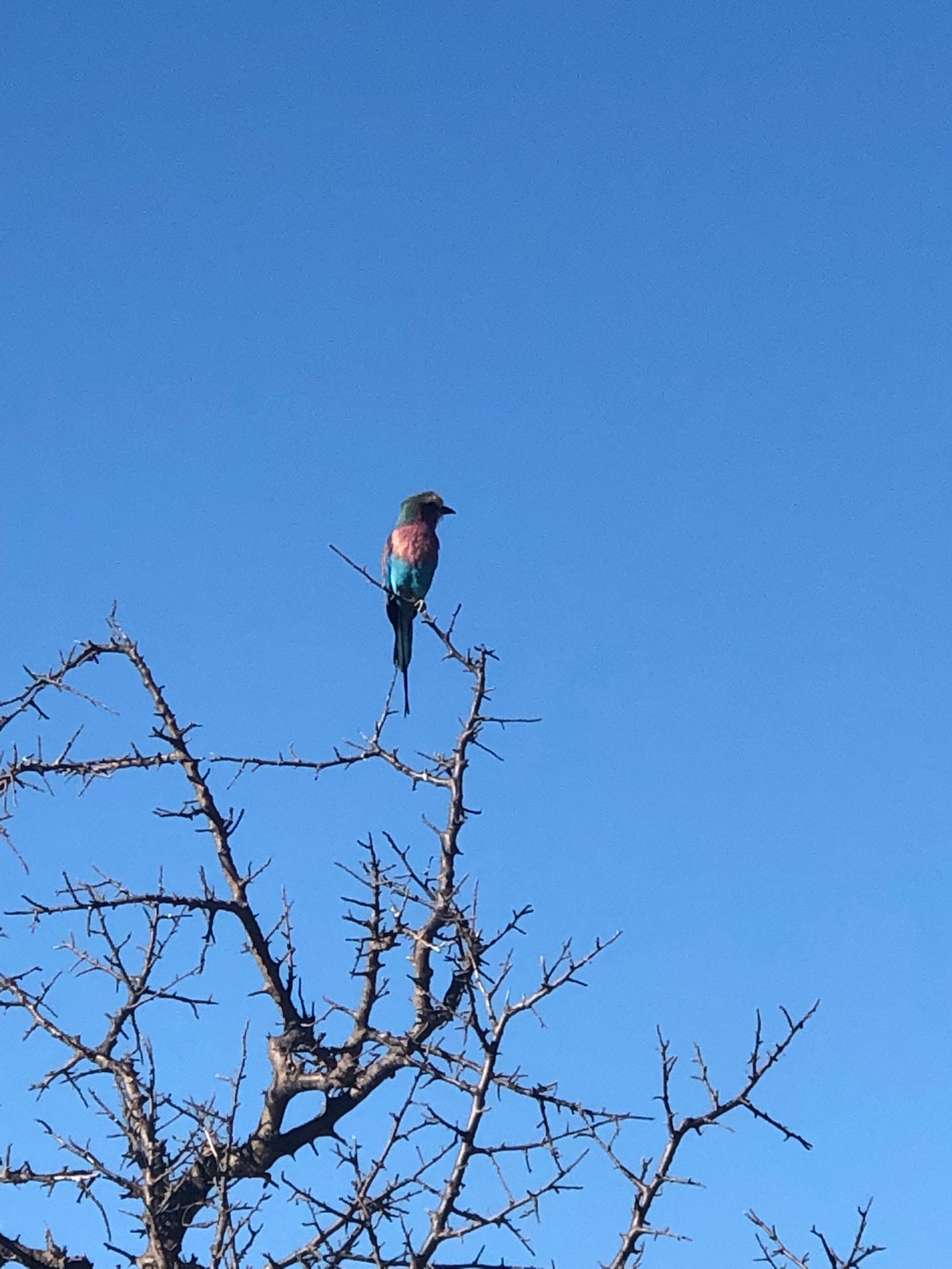 Kruger National Park | Photo