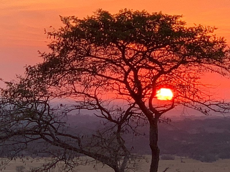 Serengeti Sunset 