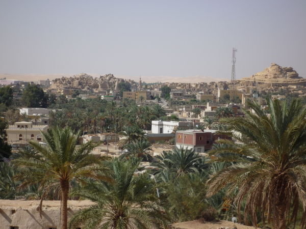 Siwa from the Mountain of the Dead