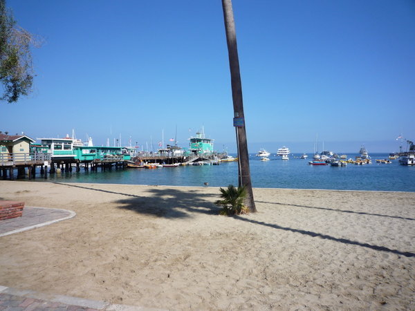 beach -Santa Catalina
