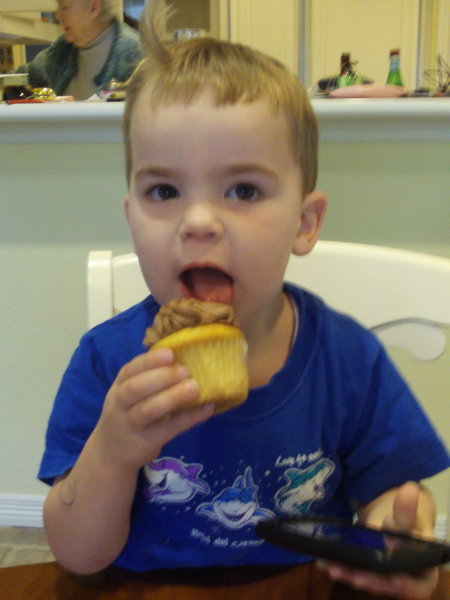 Lachlan likes any cupcake