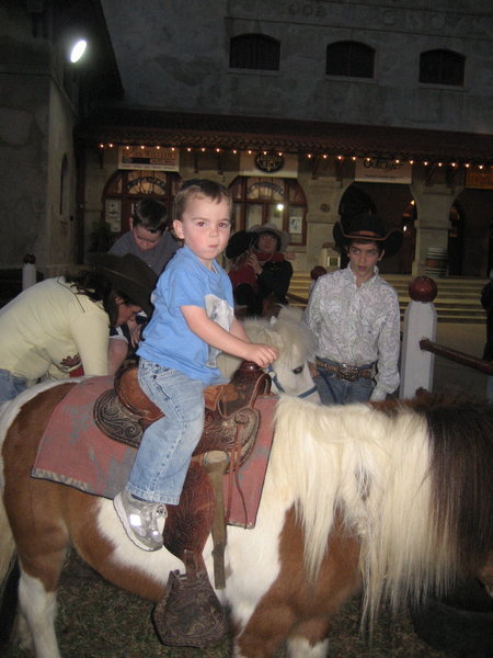 Little cowboy