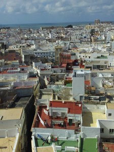 Cadiz from the cathedral