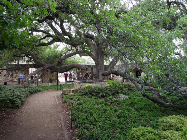Gardens at the Alamo