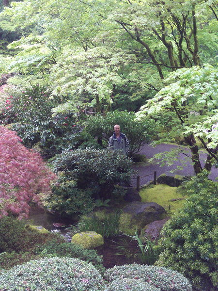 Japanese gardens