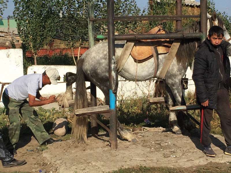 Farrier at the market