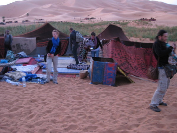 A night in the open desert