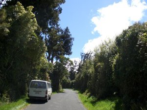 Neuseeland - Campervan