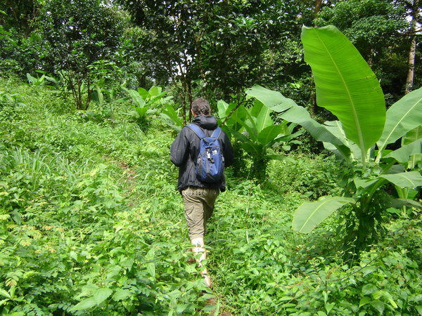Craig walking through jungle