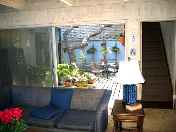 VIEW OUT TO SUN-FILLED PATIO