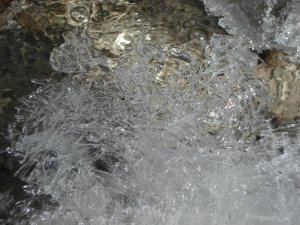 Ice crystals over the creek