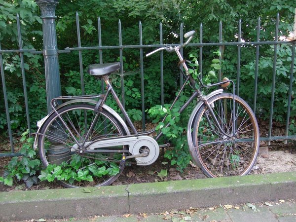 Bike with ivy