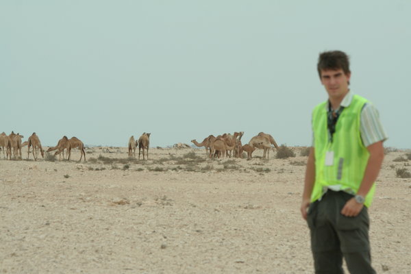 Harold van Oorschot between Camels