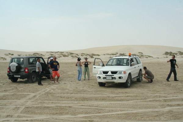 In the desert
