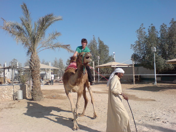 It is real, Harold on a camel