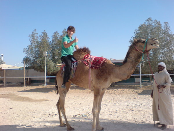 more me on a camel,