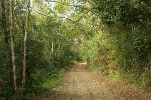 a nice road to walk