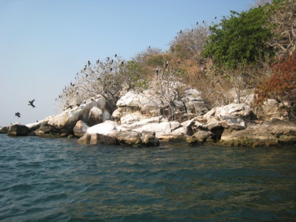 Bird Island -Senga Bay