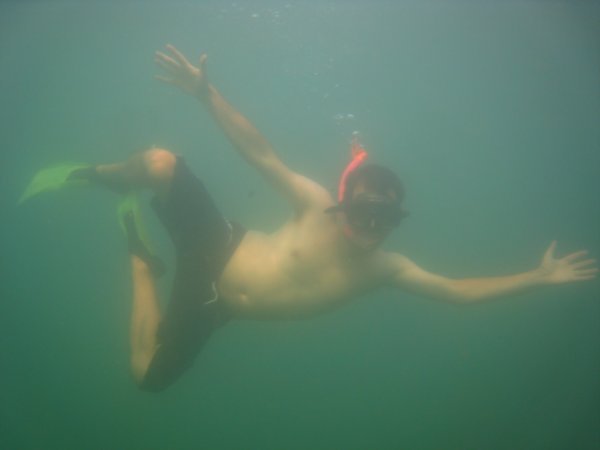 Silvan snorkeling