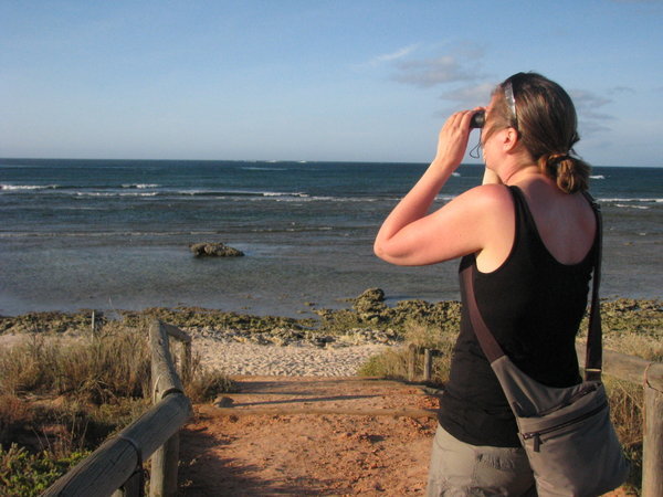 Beth watching whales - Exmouth