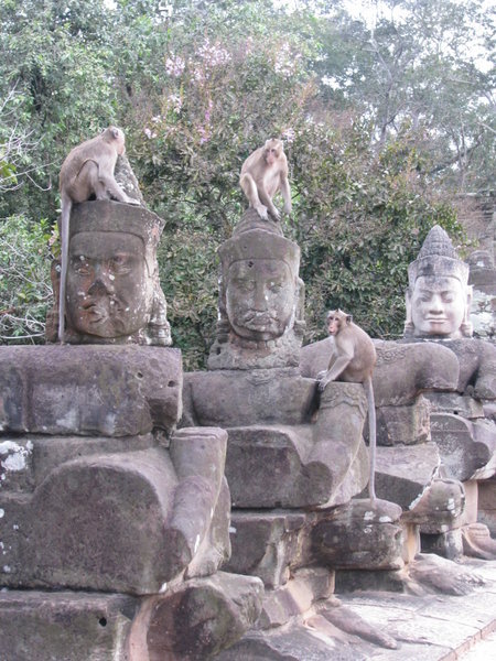 Monkeys hanging out on statues