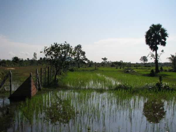 Cambodia - Countryside