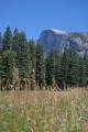 Meadow and half dome