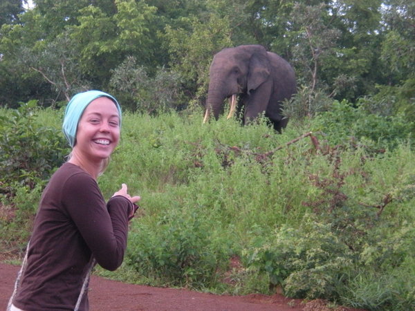 me and the friendly elephant (the one that did not charge)