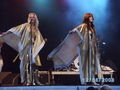 Arrival - ABBA tribute band