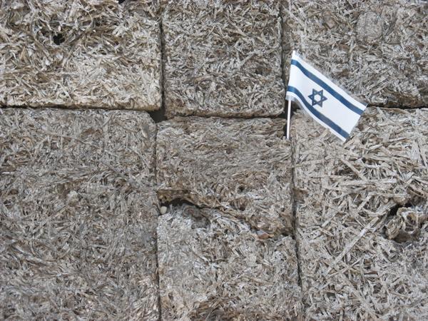 Jewish Flag Stuck in the Killing Wall
